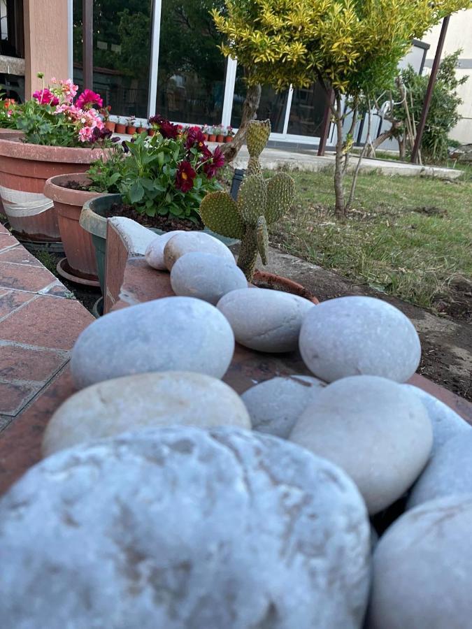 Curani House Apartman Ulcinj Kültér fotó
