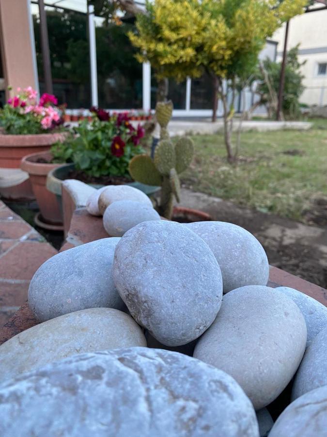 Curani House Apartman Ulcinj Kültér fotó